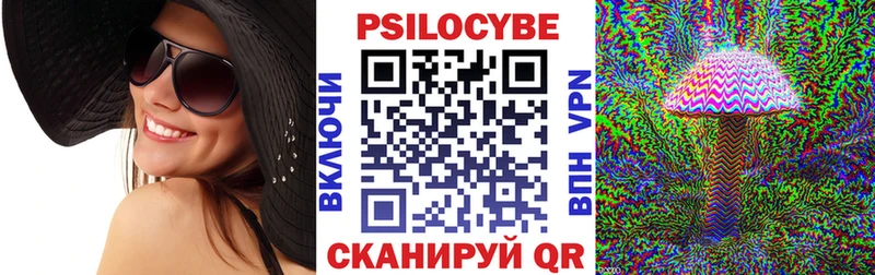 Псилоцибиновые грибы Psilocybe наркотики Минеральные Воды